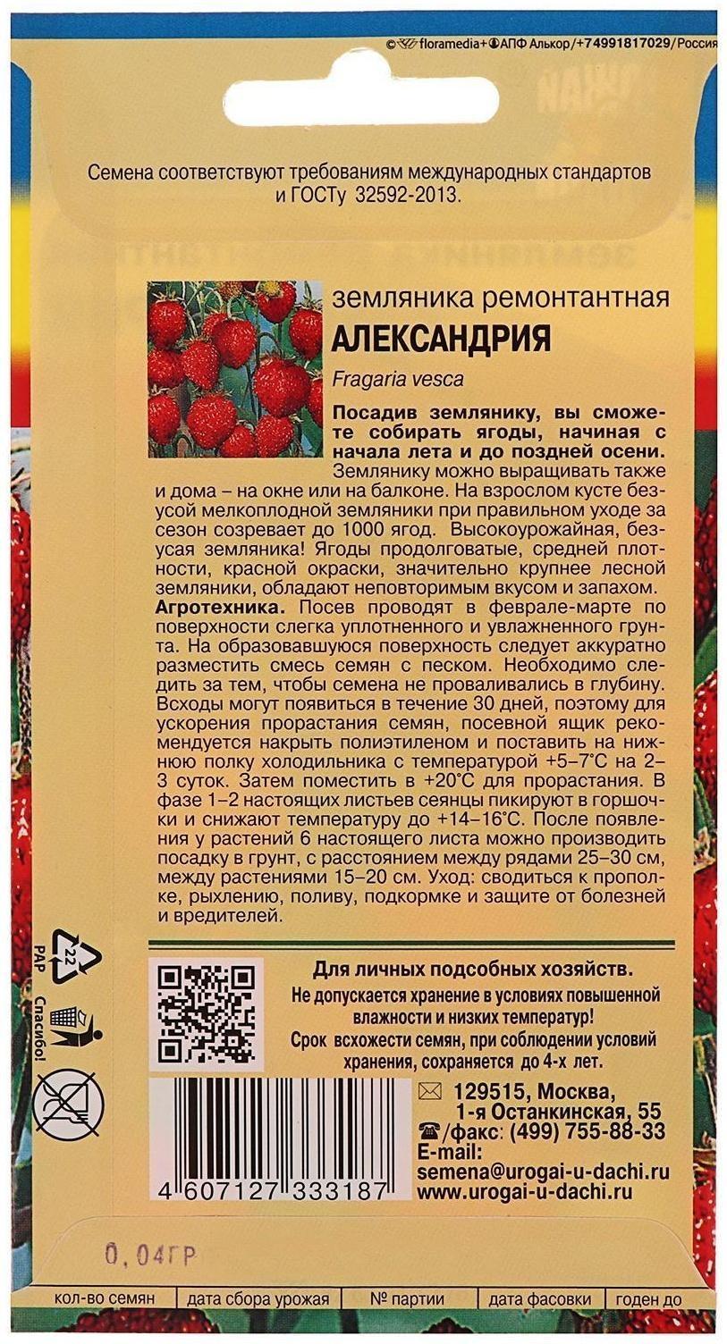 Семена Земляника 