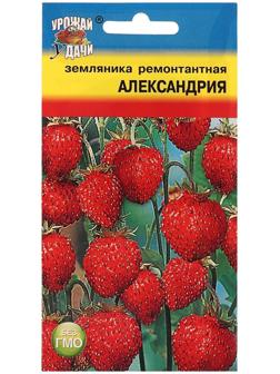 Семена Земляника 