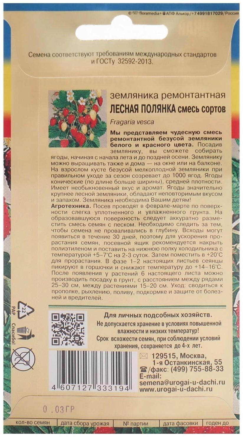 Семена Земляника 