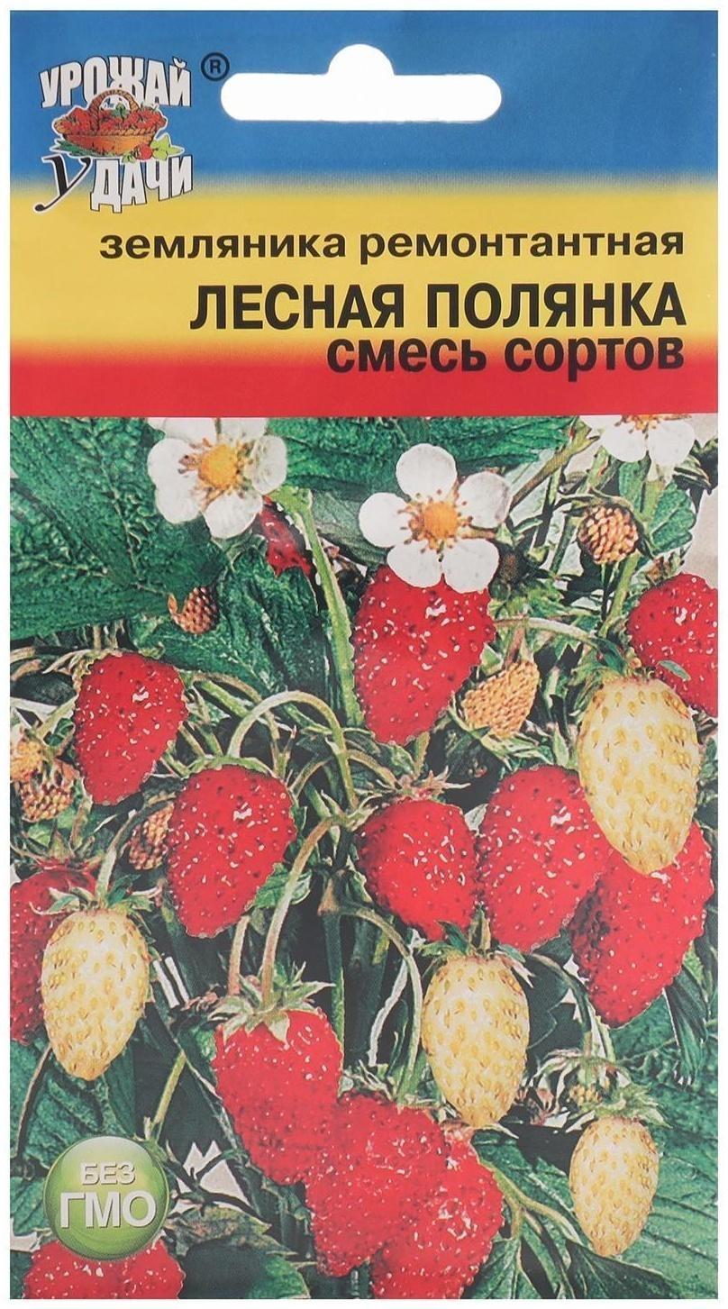 Семена Земляника 