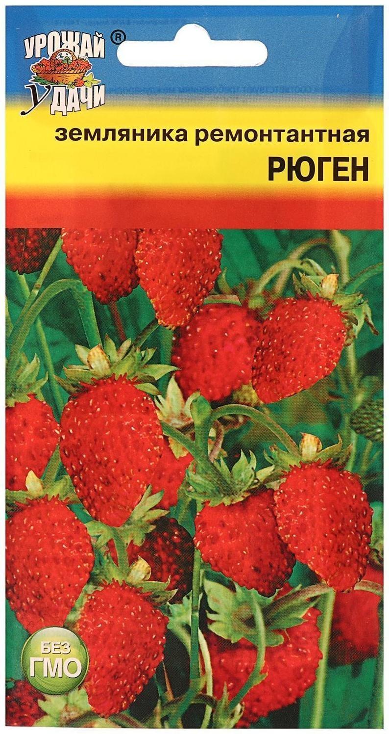 Семена Земляника 