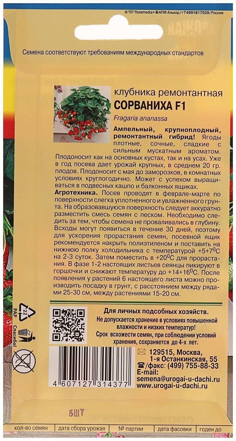 Семена Клубника ремонт. 