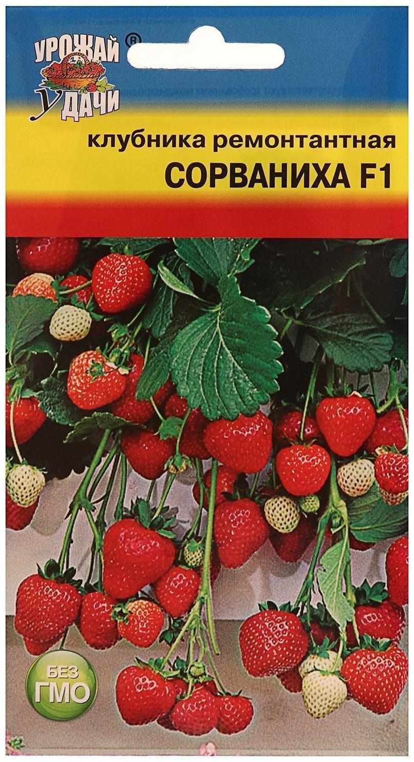 Семена Клубника ремонт. 