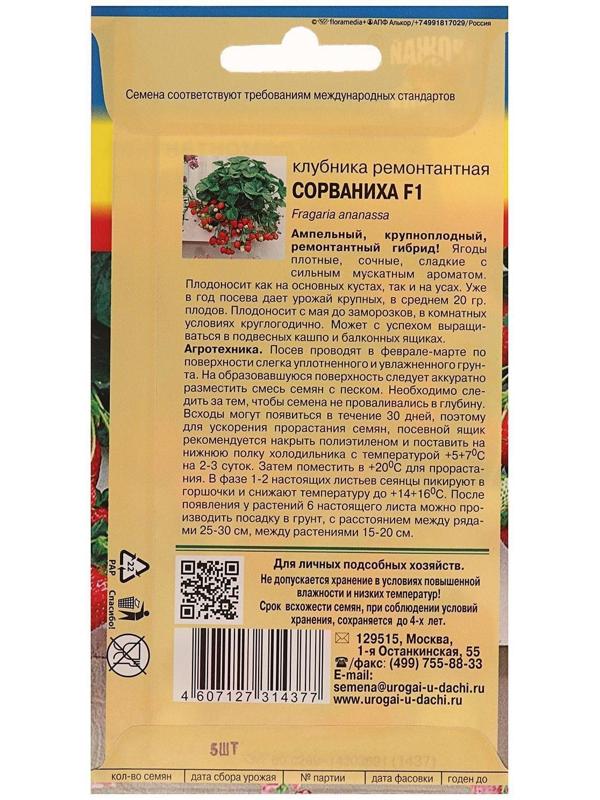 Семена Клубника ремонт. 