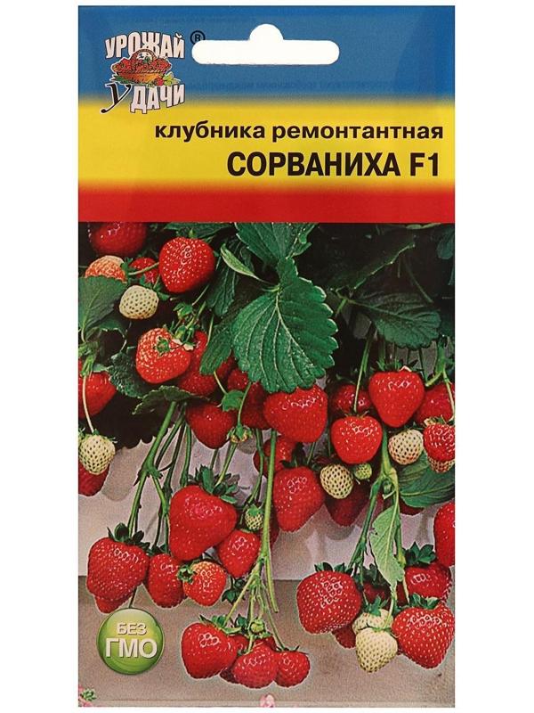 Семена Клубника ремонт. 