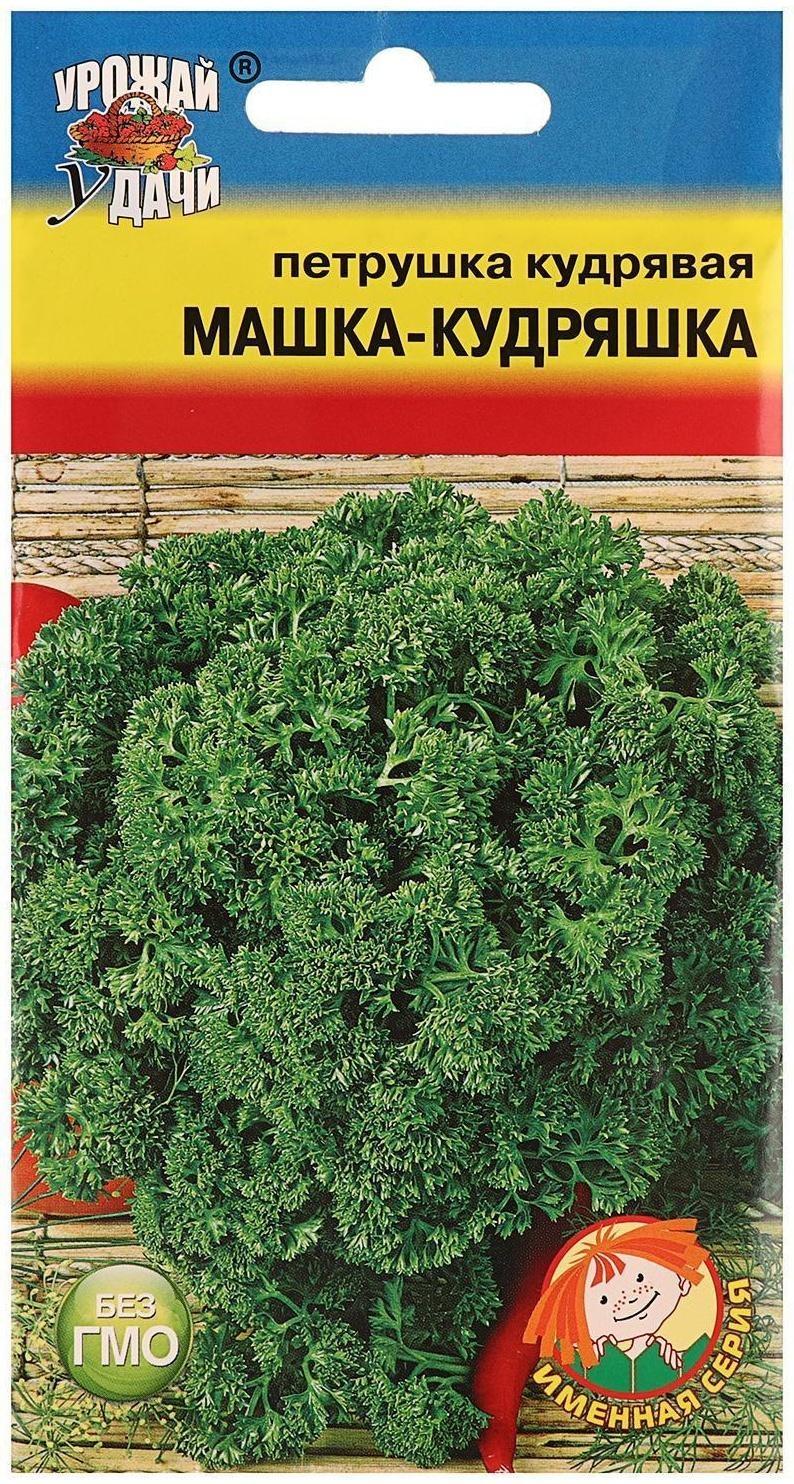 Семена Петрушка Кудрявая 