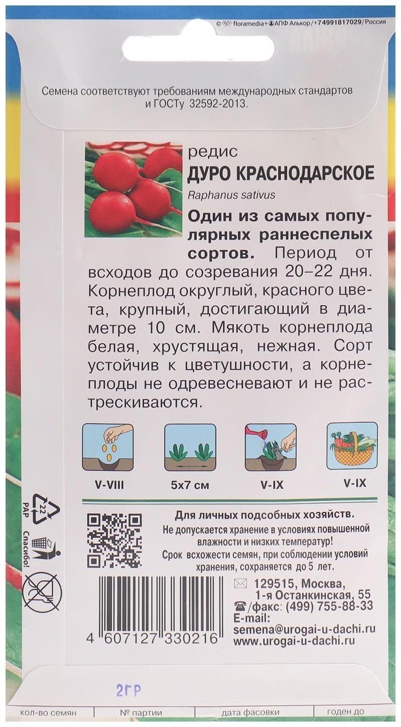 Семена Редис 