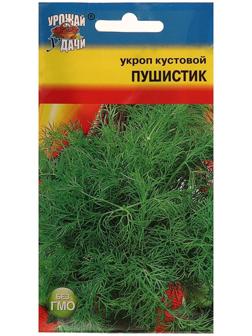 Семена Укроп 