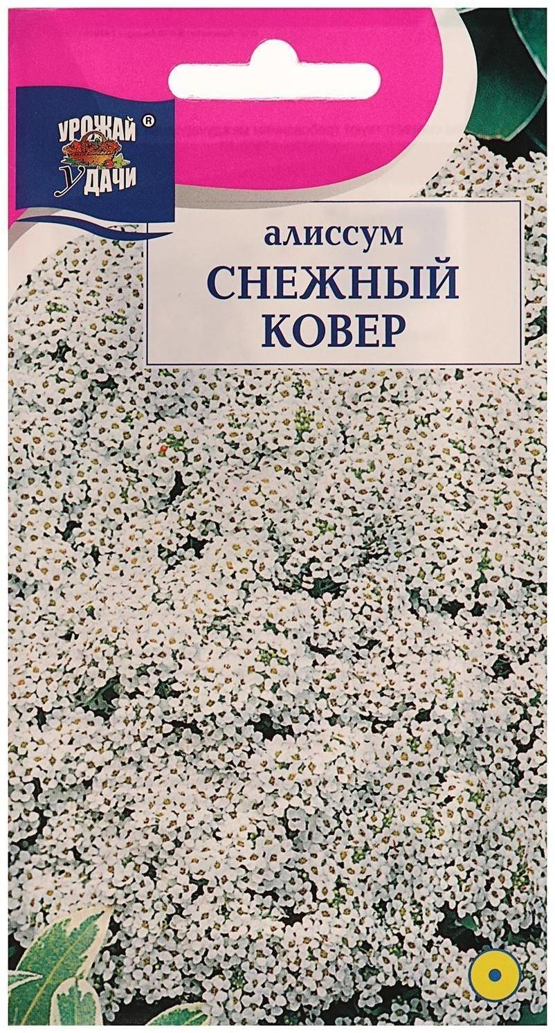 Семена цветов Цв Алиссум 