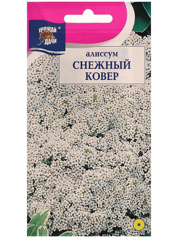 Семена цветов Цв Алиссум 