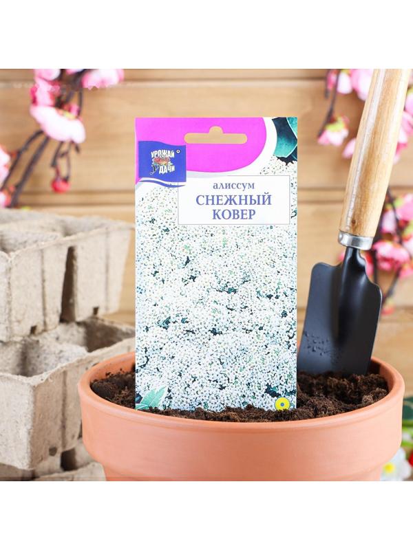 Семена цветов Цв Алиссум 