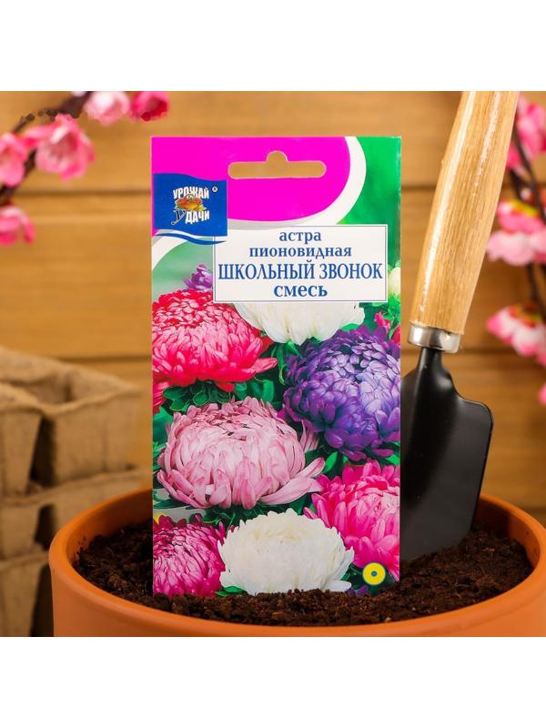 Семена цветов Цв Астра Смесь 