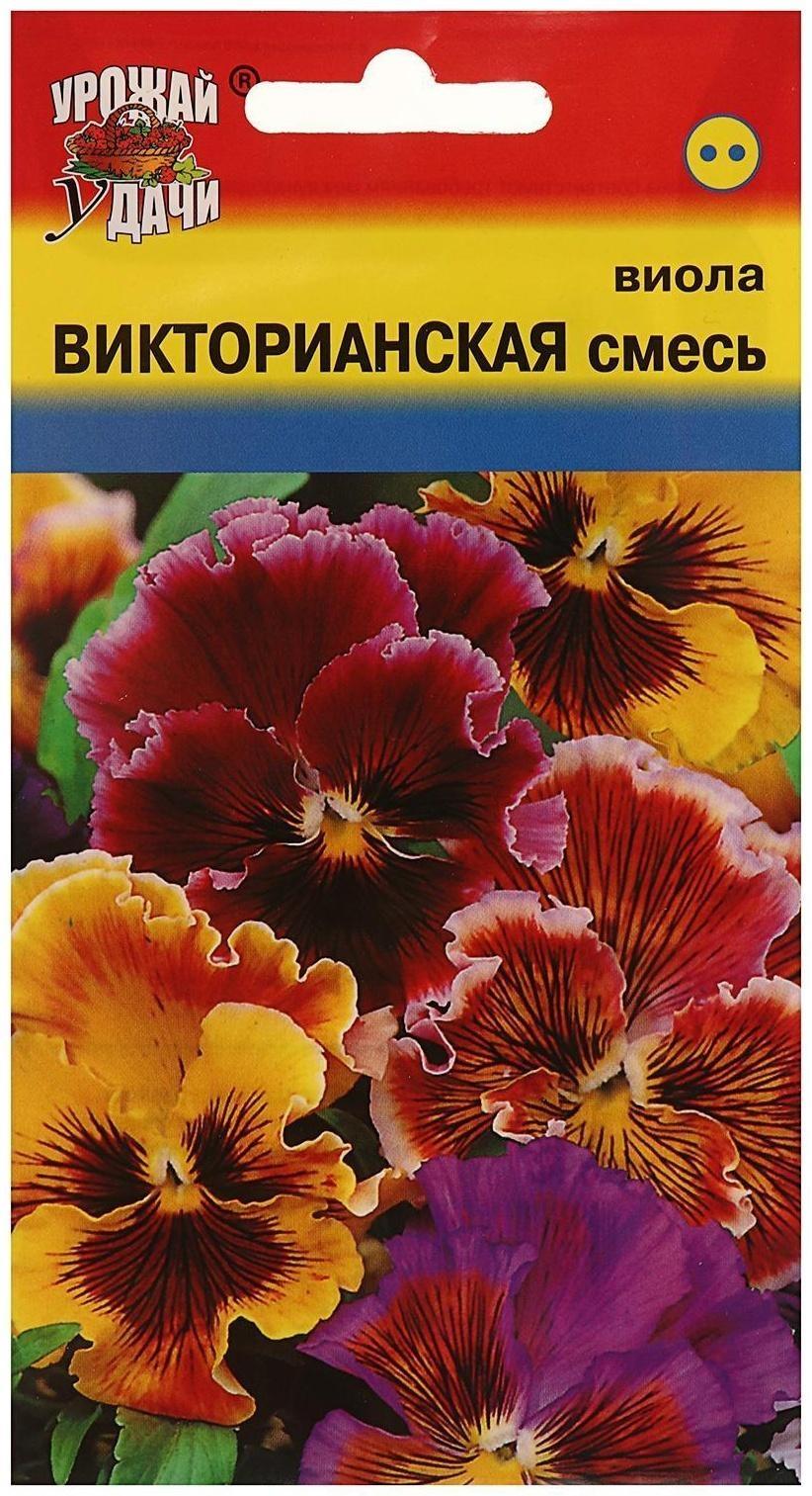 Семена цветов Виола 