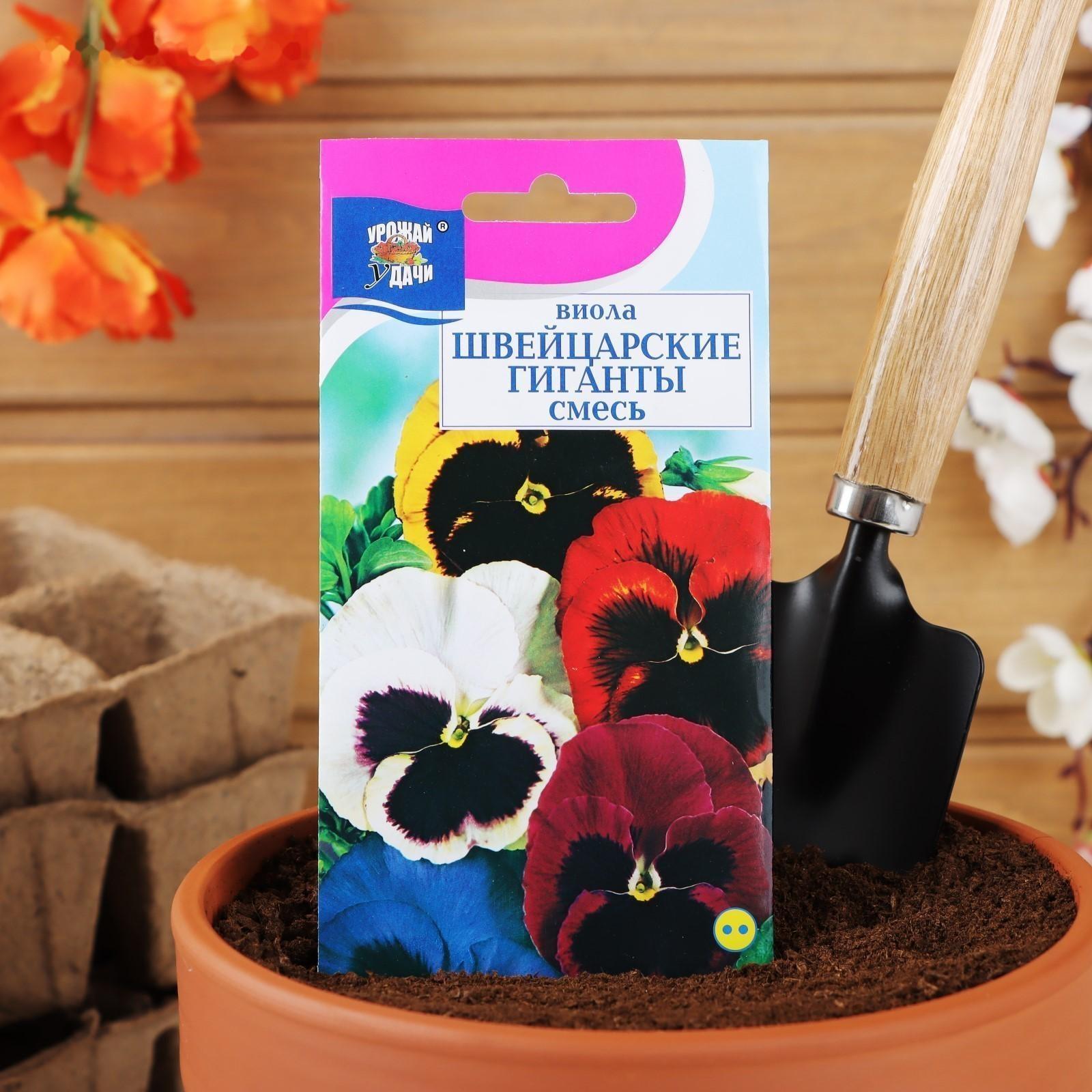 Семена цветов Виола 