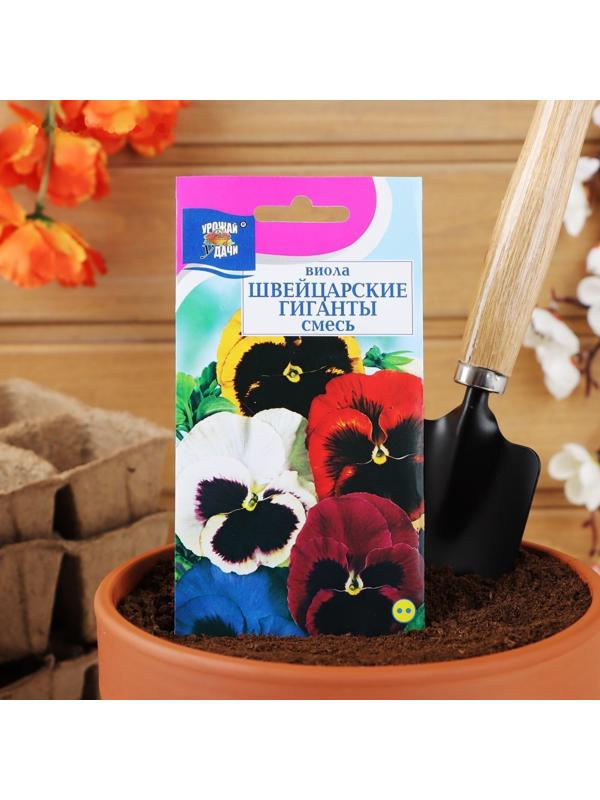 Семена цветов Виола 