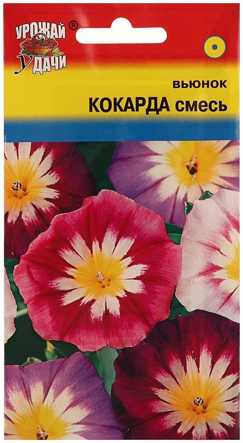 Семена цветов Цв Вьюнок кокарда Смесь,0,5 гр