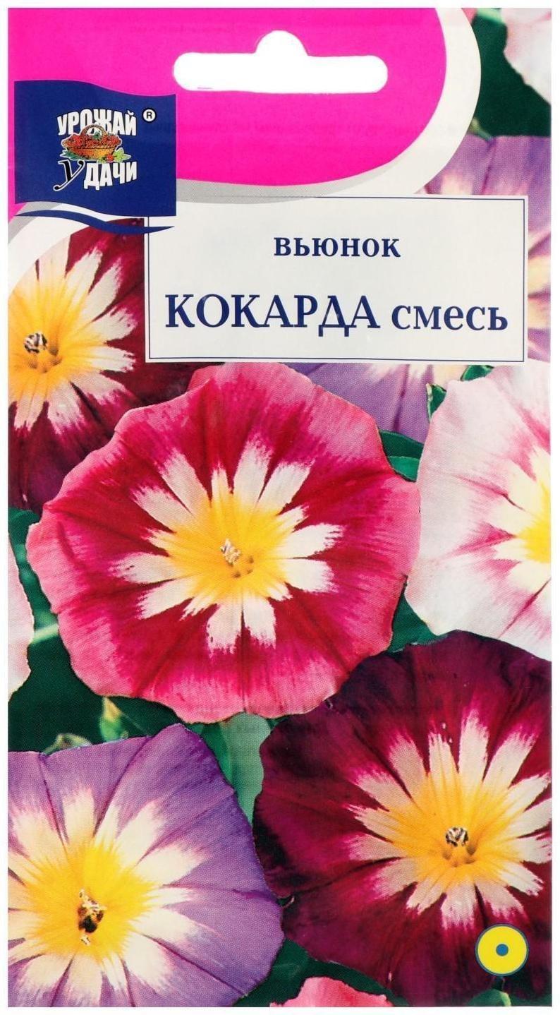 Семена цветов Цв Вьюнок кокарда Смесь,0,5 гр