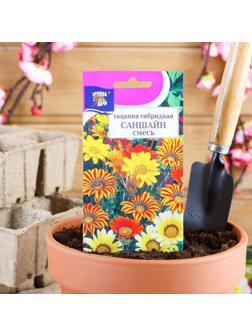 Семена цветов Цв Гацания 