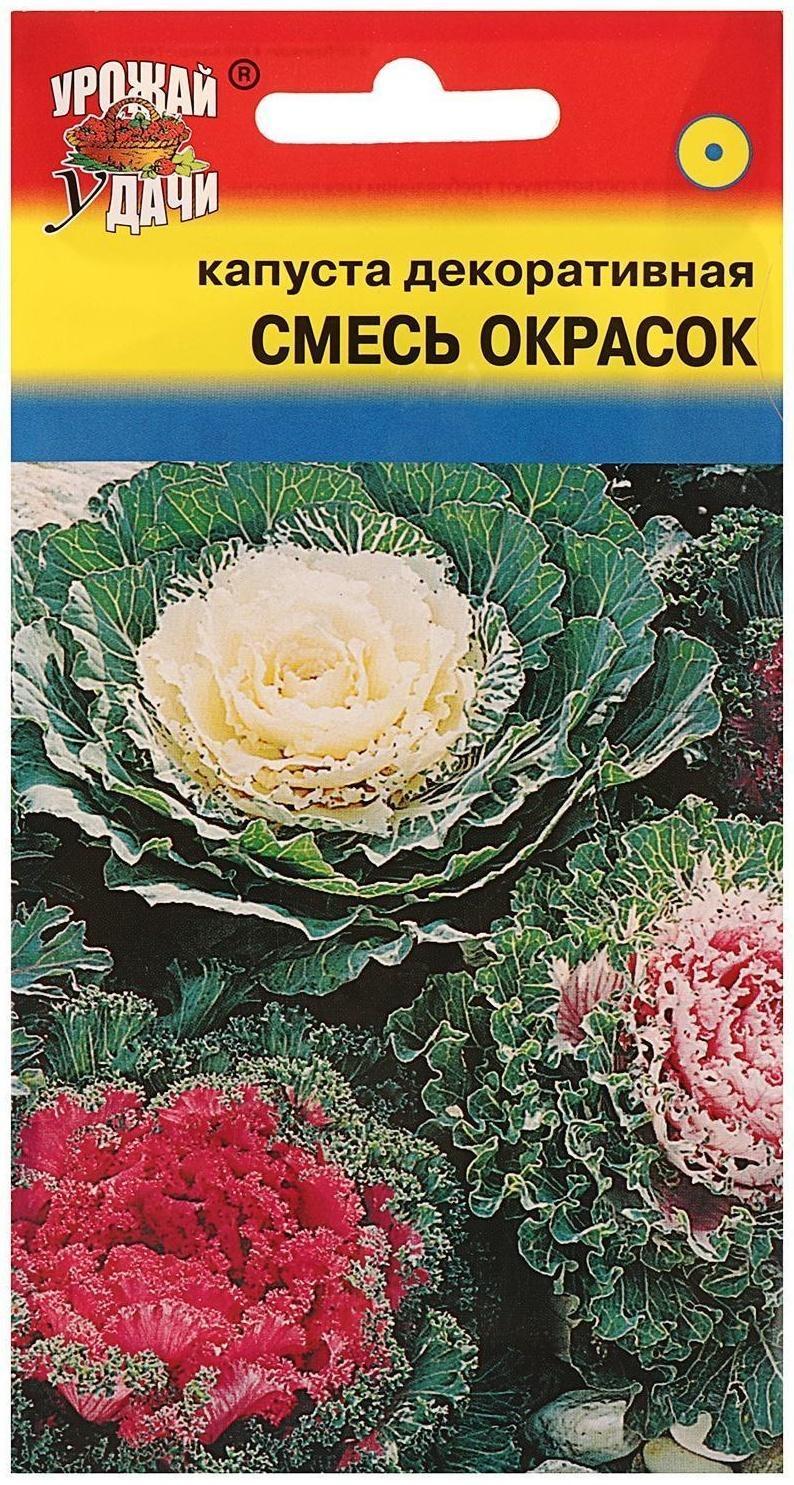 Семена цветов Капуста декоративная Смесь окрасок, 0,2 г