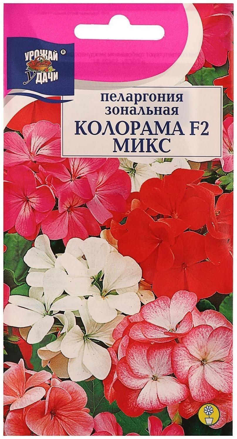 Семена цветов Пеларгония 