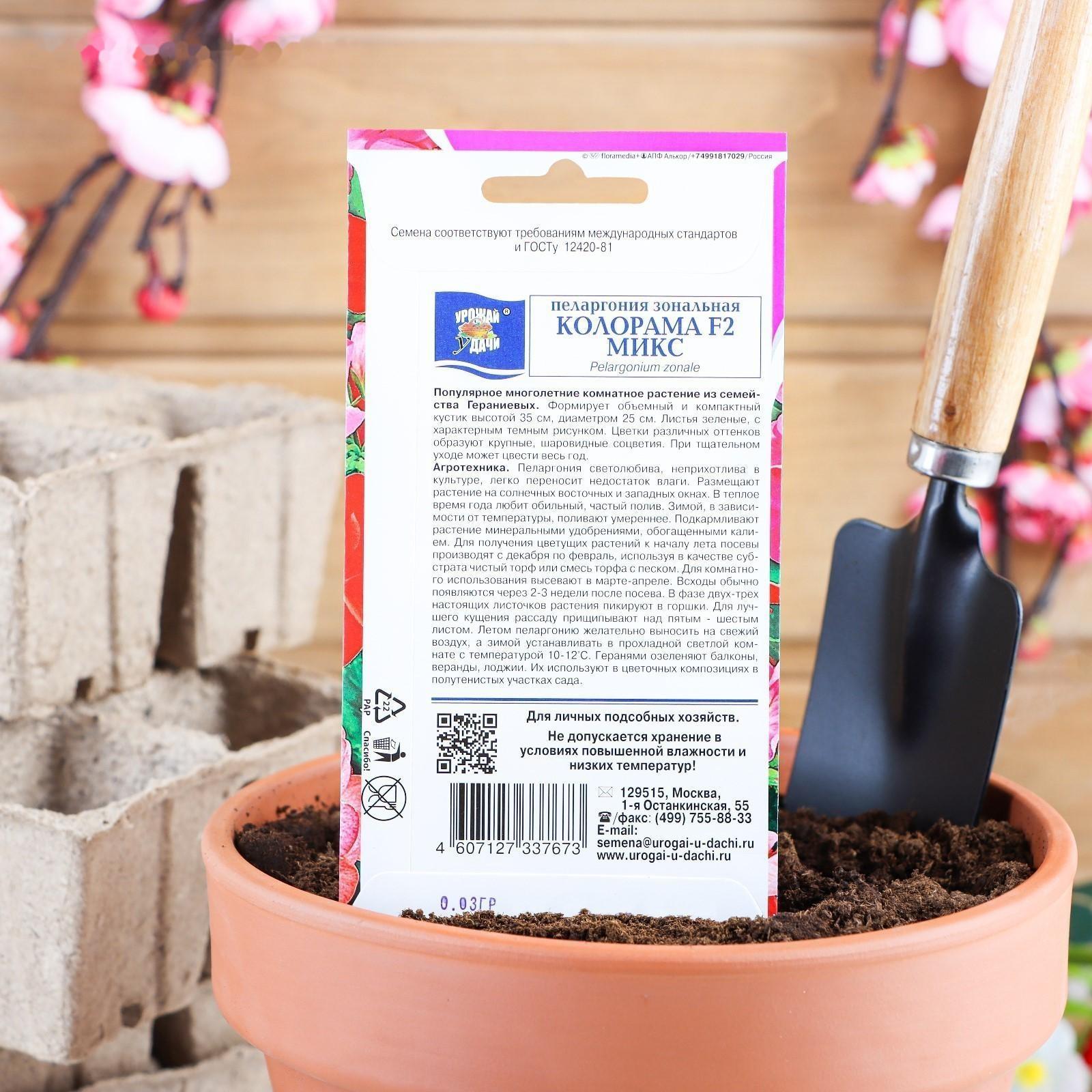Семена цветов Пеларгония 