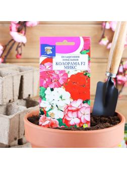 Семена цветов Пеларгония 