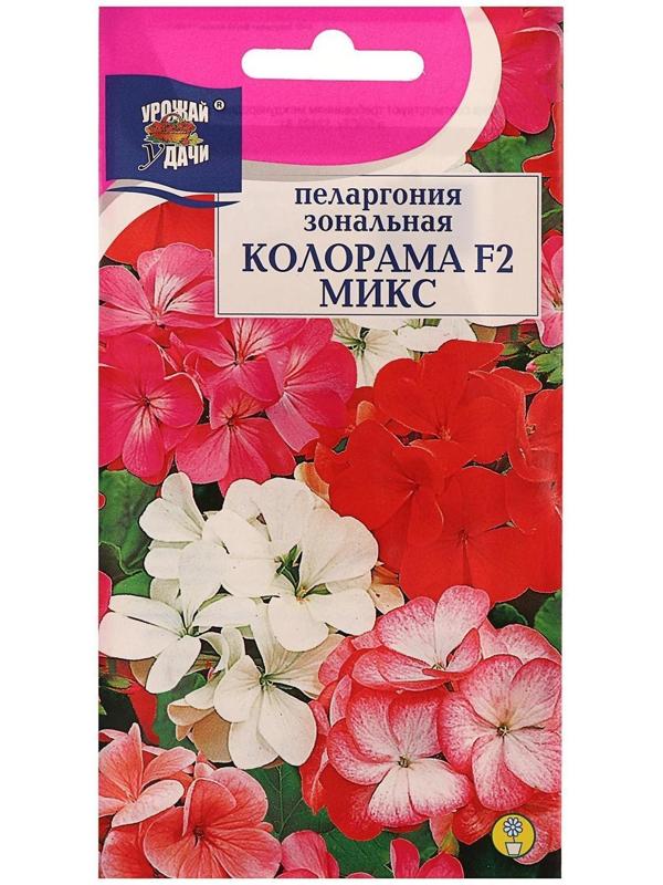 Семена цветов Пеларгония 