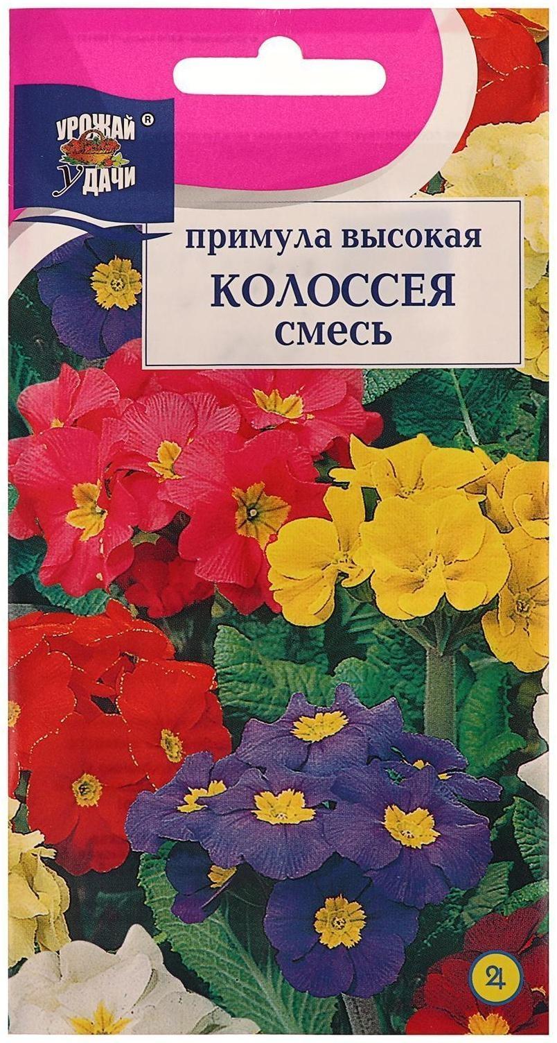 Семена цветов Примула 