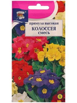 Семена цветов Примула 