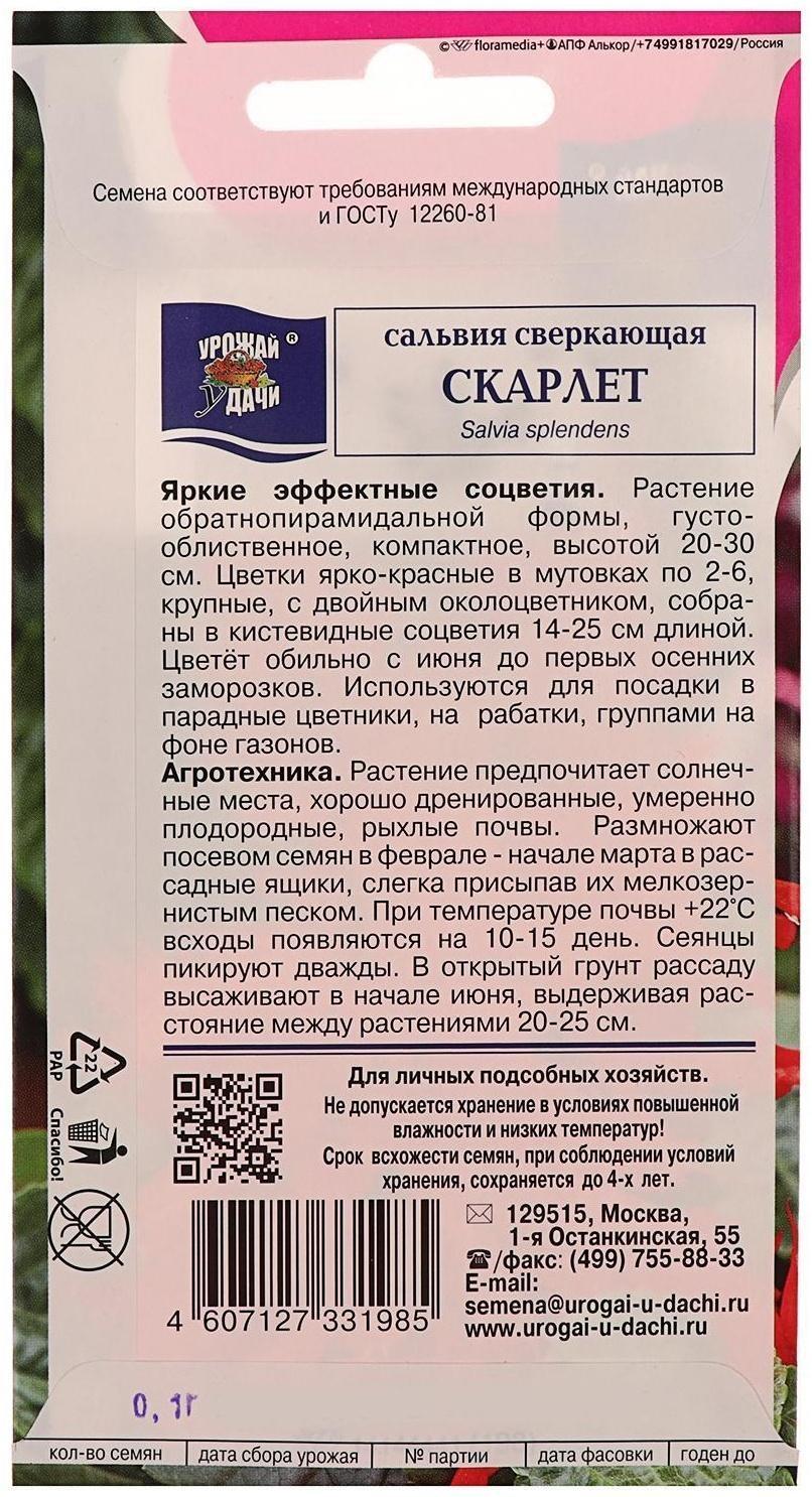 Семена цветов Цв Сальвия сверк. 