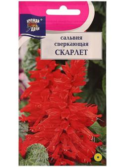 Семена цветов Цв Сальвия сверк. 