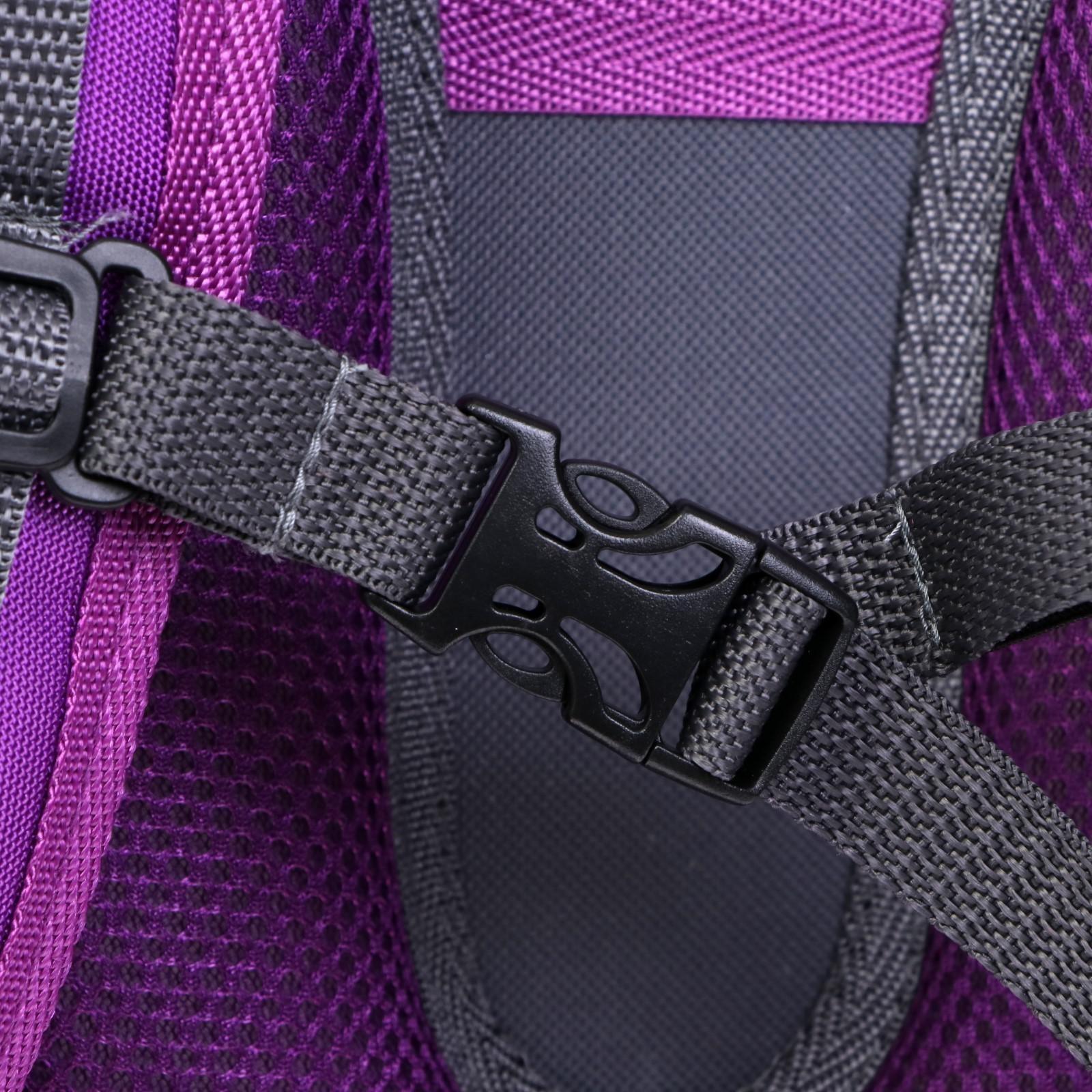 Рюкзак каркасный школьный 38 х 30 х 16 см, эргономичная спинка, Stavia 