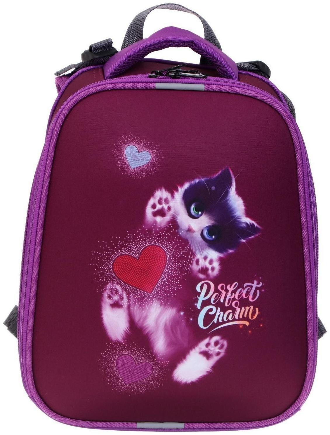 Рюкзак каркасный школьный 38 х 30 х 16 см, эргономичная спинка, Stavia 