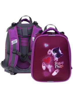 Рюкзак каркасный школьный 38 х 30 х 16 см, эргономичная спинка, Stavia 