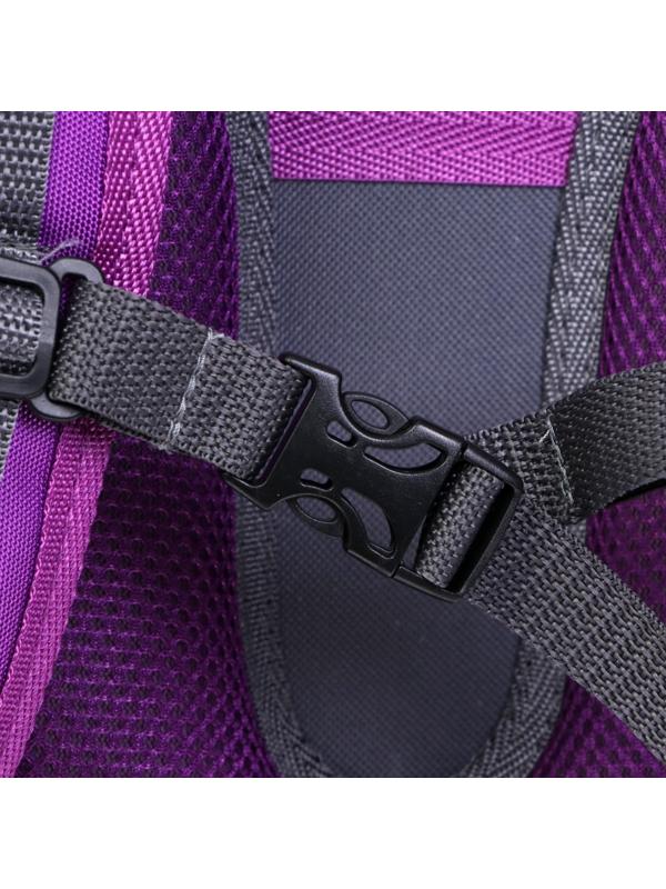 Рюкзак каркасный школьный 38 х 30 х 16 см, эргономичная спинка, Stavia 