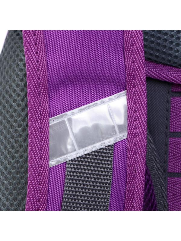 Рюкзак каркасный школьный 38 х 30 х 16 см, эргономичная спинка, Stavia 