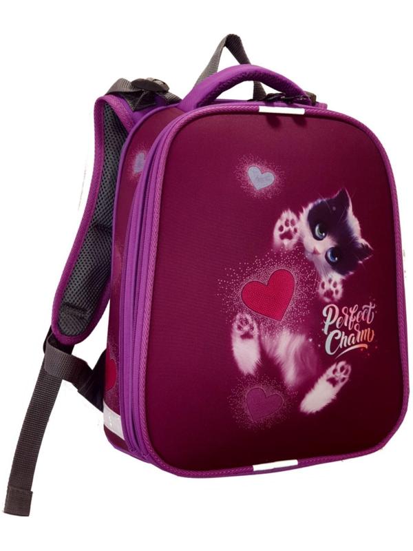 Рюкзак каркасный школьный 38 х 30 х 16 см, эргономичная спинка, Stavia 