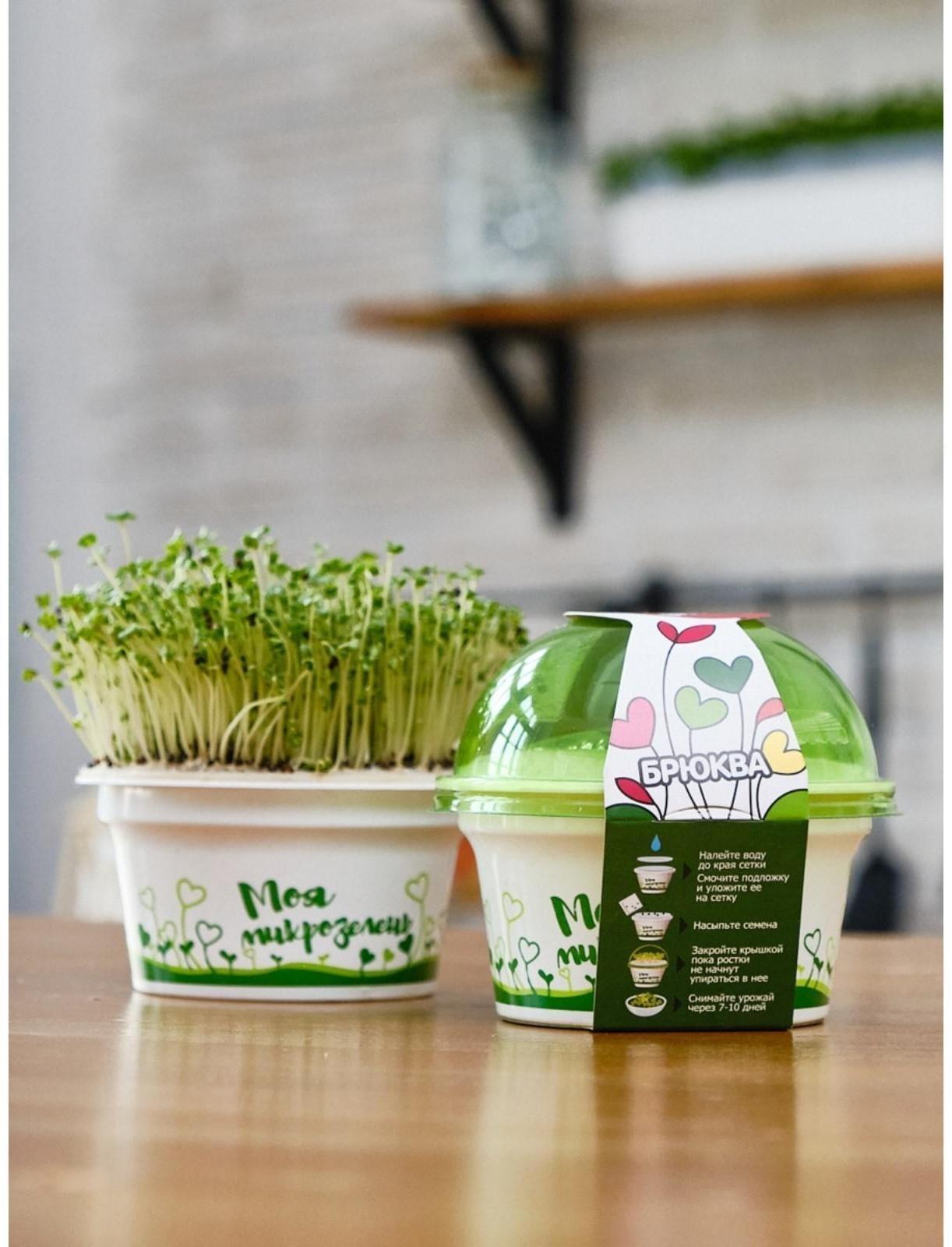 Набор для выращивания «Моя микрозелень», брюква