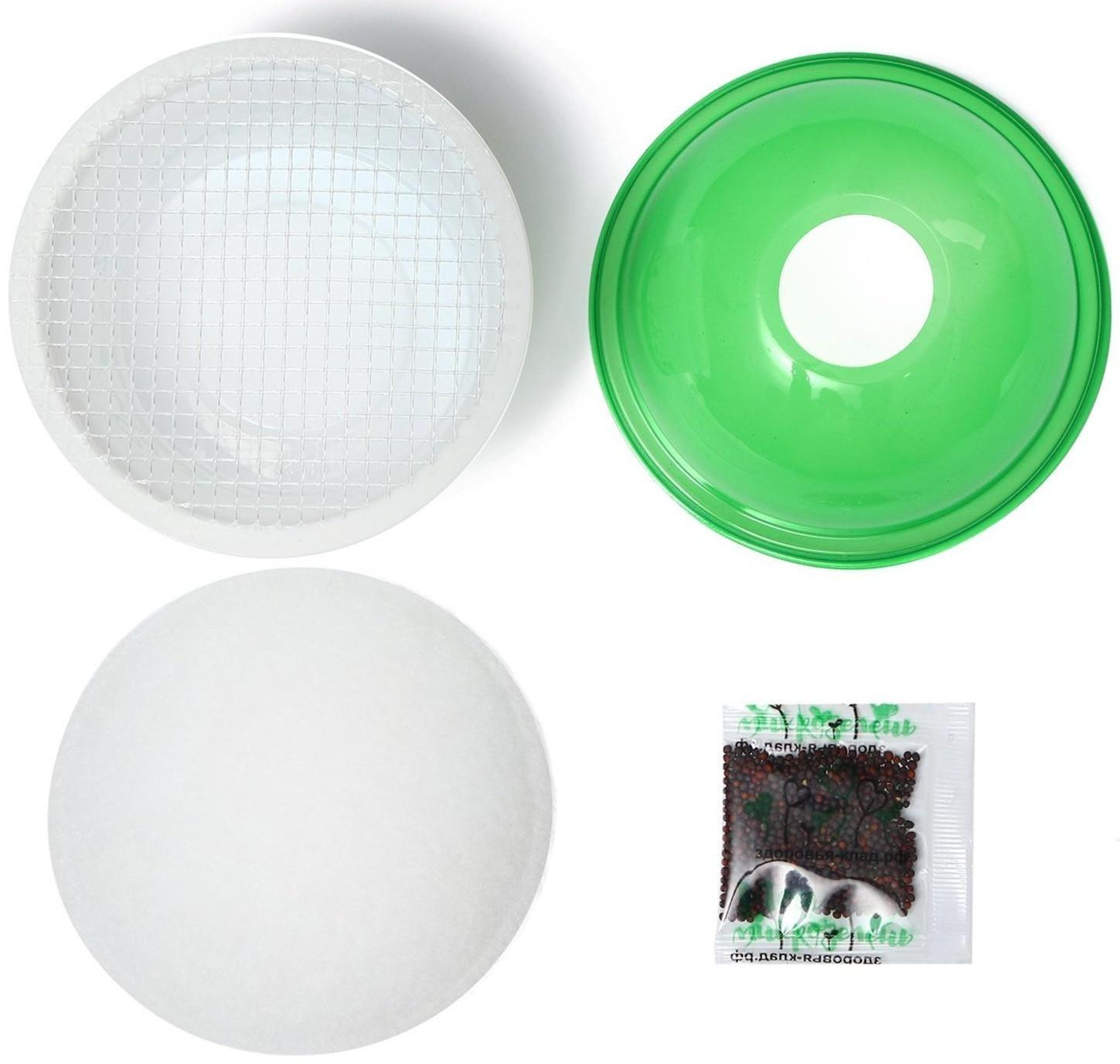 Набор для выращивания «Моя микрозелень», брюква