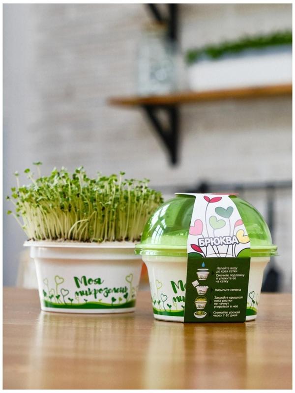 Набор для выращивания «Моя микрозелень», брюква