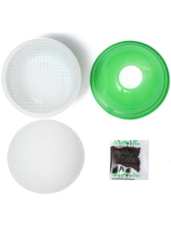 Набор для выращивания «Моя микрозелень», брюква