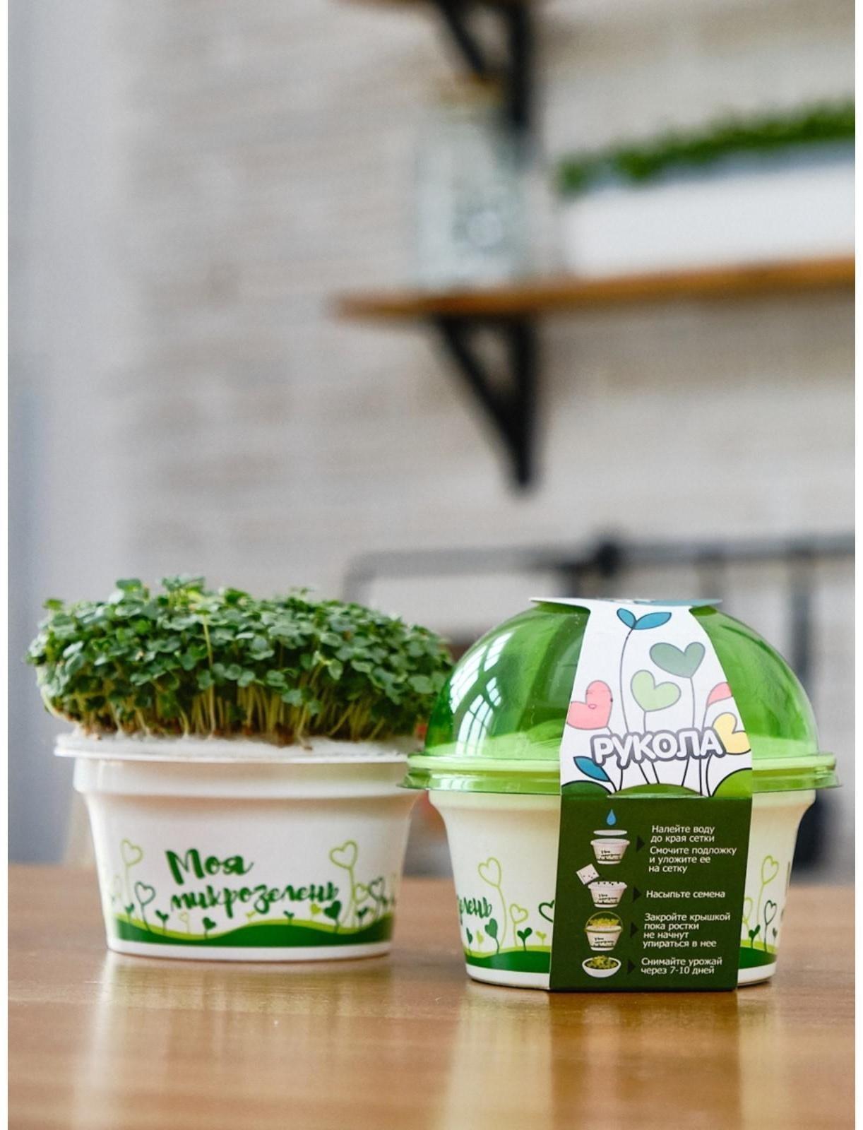 Набор для выращивания «Моя микрозелень», рукола