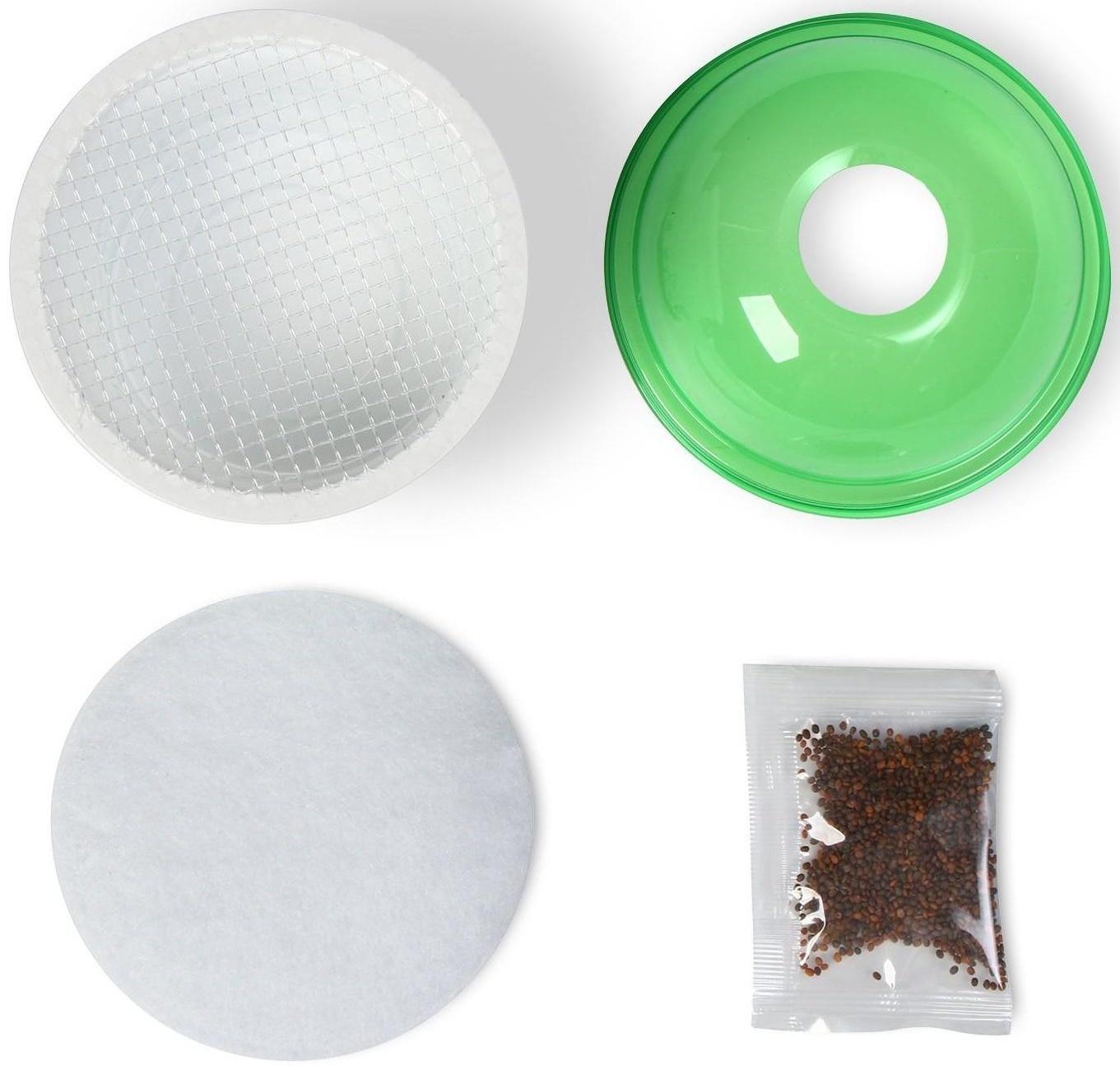 Набор для выращивания «Моя микрозелень», рукола