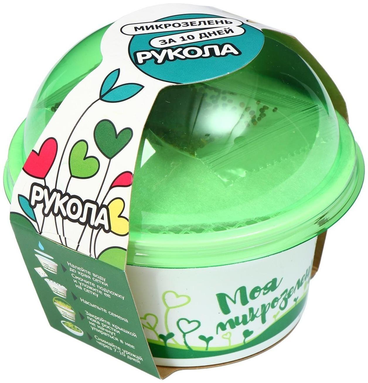 Набор для выращивания «Моя микрозелень», рукола