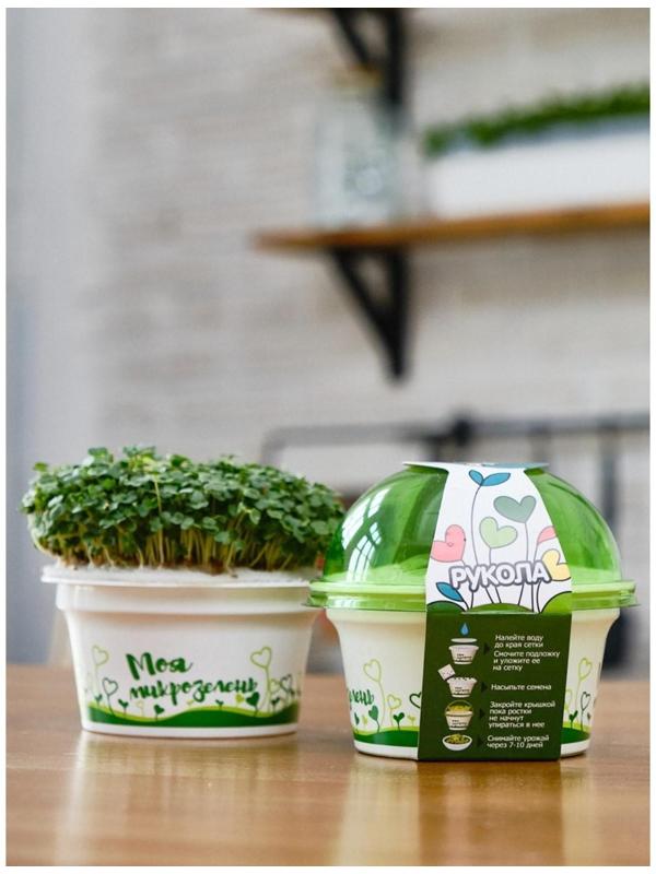 Набор для выращивания «Моя микрозелень», рукола