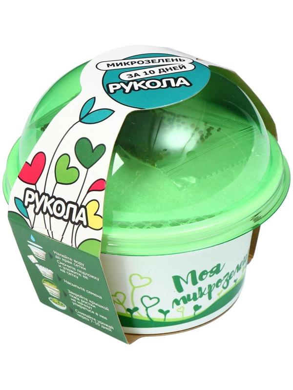 Набор для выращивания «Моя микрозелень», рукола