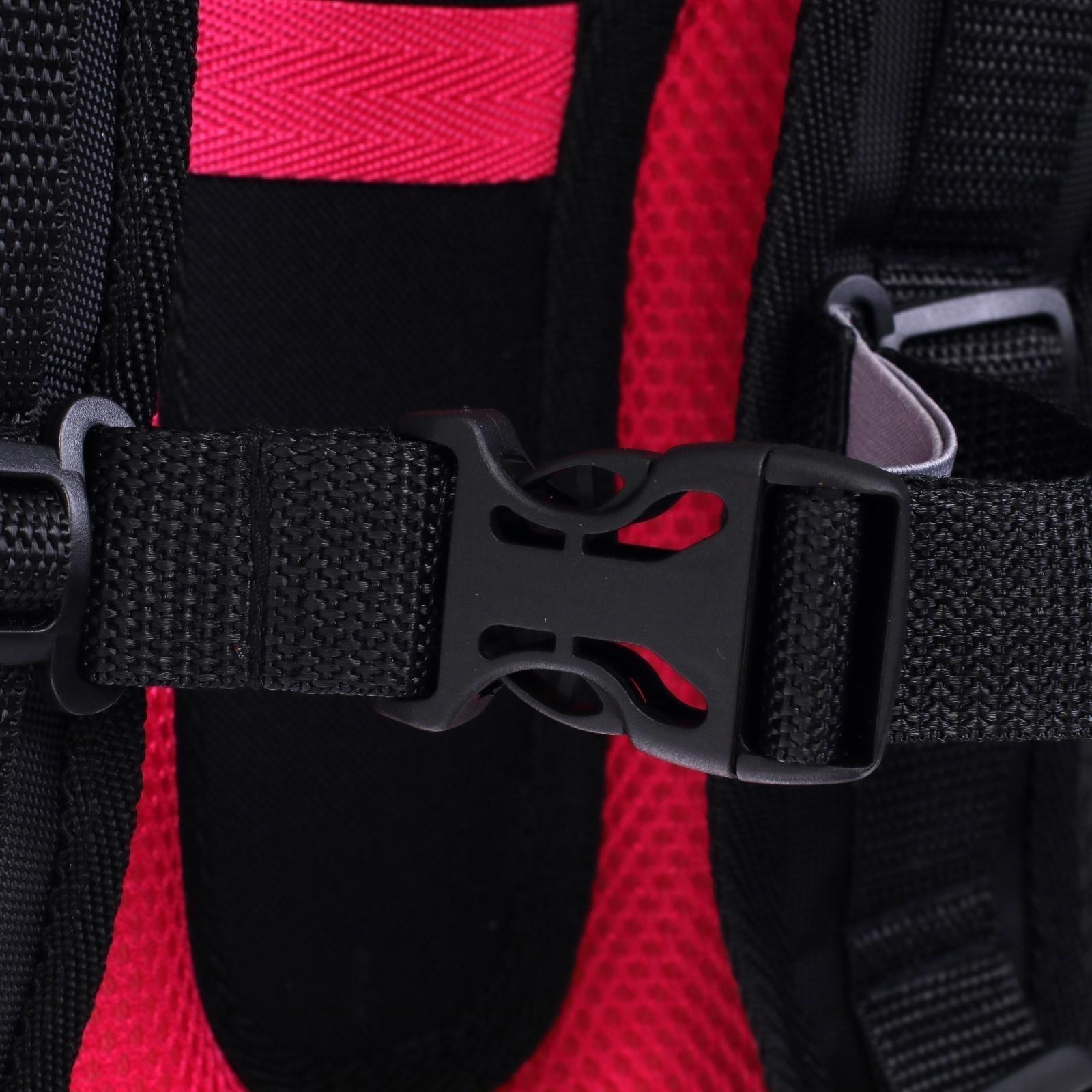 Рюкзак каркасный школьный 38 х 30 х 16 см, эргономичная спинка, Stavia 