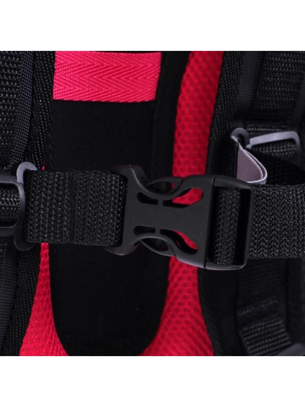 Рюкзак каркасный школьный 38 х 30 х 16 см, эргономичная спинка, Stavia 