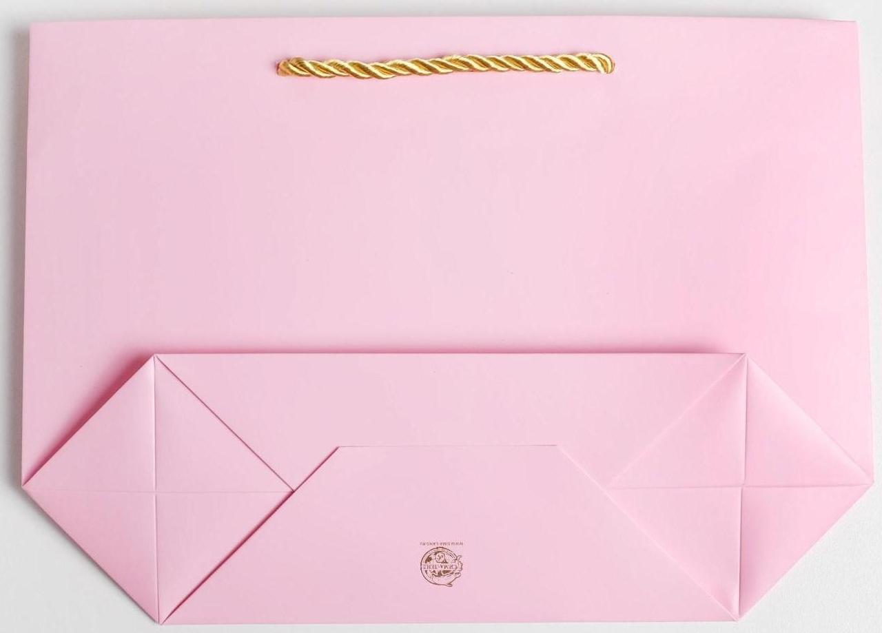 Пакет подарочный «Best wishes», 28 х 20 х 9 см