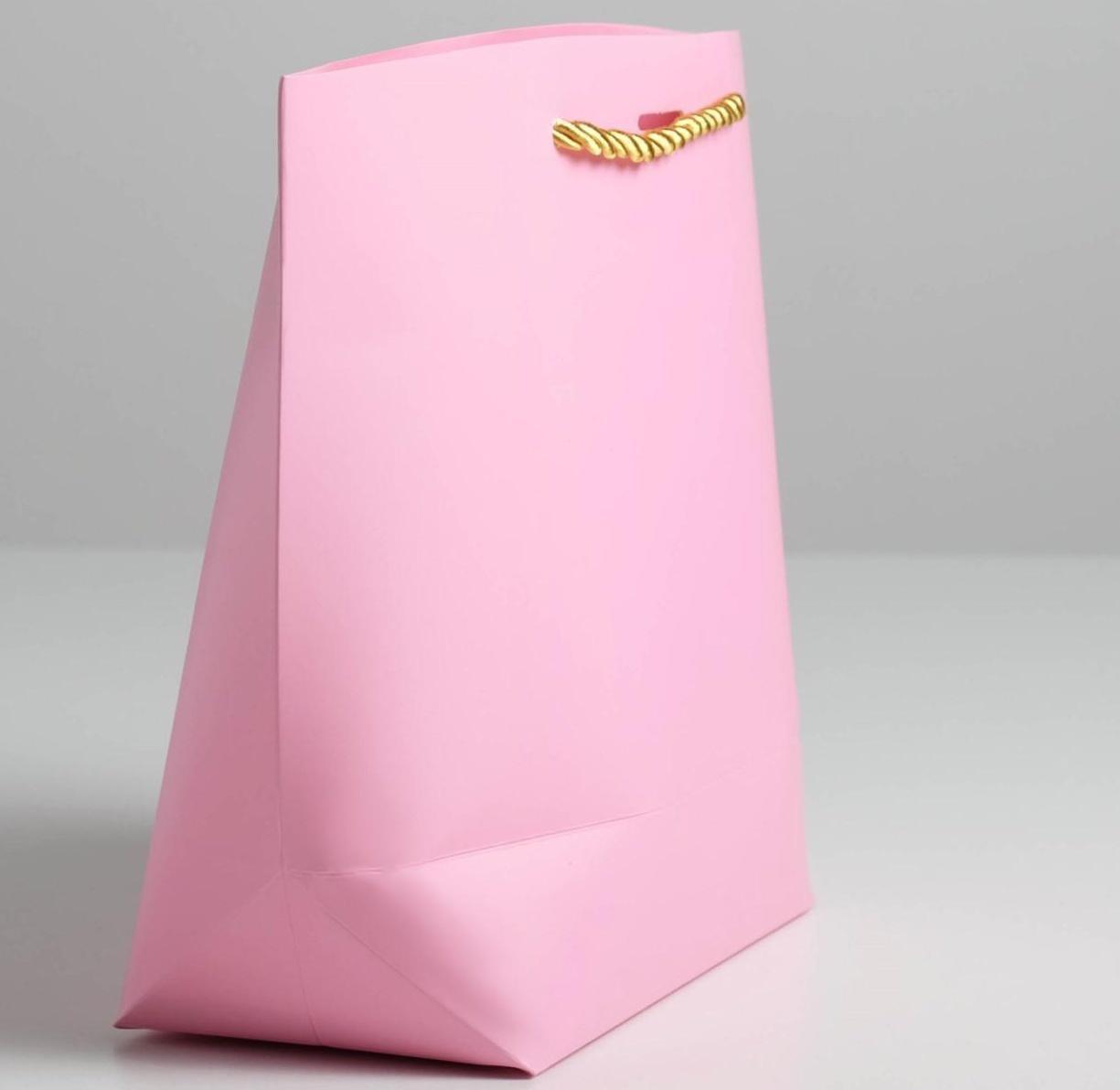 Пакет подарочный «Best wishes», 28 х 20 х 9 см